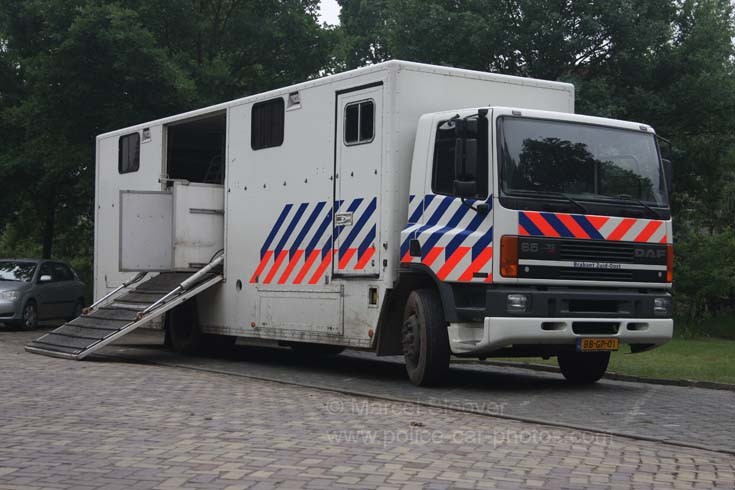Dutch Daf police horse transport